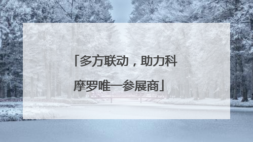 多方联动，助力科摩罗唯一参展商