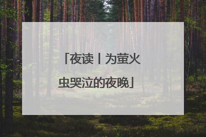 夜读丨为萤火虫哭泣的夜晚
