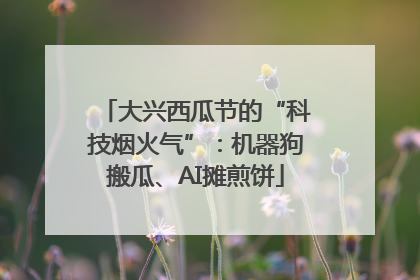 大兴西瓜节的“科技烟火气”：机器狗搬瓜、AI摊煎饼