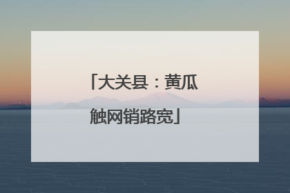 大关县：黄瓜触网销路宽