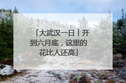 大武汉一日︱开到六月底，这里的花比人还高