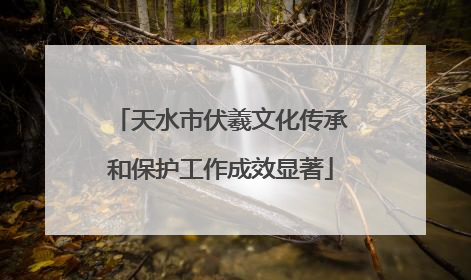 天水市伏羲文化传承和保护工作成效显著