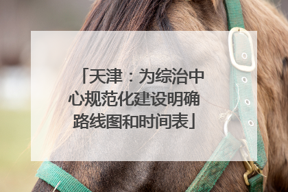 天津：为综治中心规范化建设明确路线图和时间表