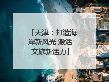 天津：打造海岸新风光 激活文旅新活力