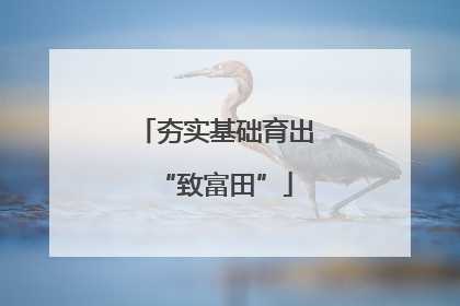 夯实基础育出“致富田”