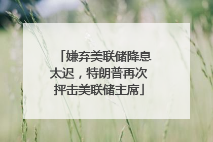 嫌弃美联储降息太迟，特朗普再次抨击美联储主席