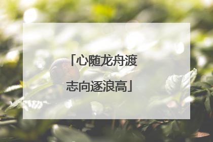 心随龙舟渡 志向逐浪高