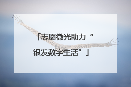 志愿微光助力“银发数字生活”