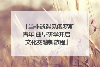 当非遗遇见俄罗斯青年 曲阜研学开启文化交融新旅程