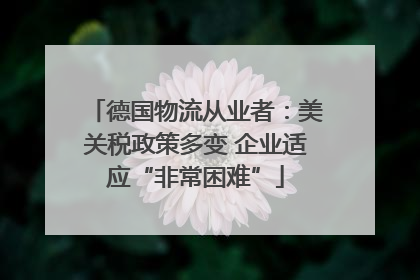 德国物流从业者：美关税政策多变 企业适应“非常困难”