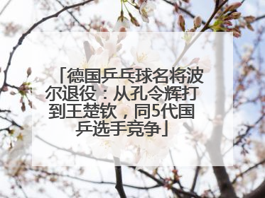 德国乒乓球名将波尔退役：从孔令辉打到王楚钦，同5代国乒选手竞争