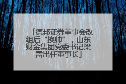 德邦证券董事会改组后“换帅”，山东财金集团党委书记梁雷出任董事长
