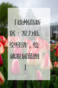 徐州高新区：发力低空经济，绘就发展蓝图