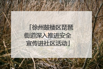 徐州鼓楼区琵琶街道深入推进安全宣传进社区活动