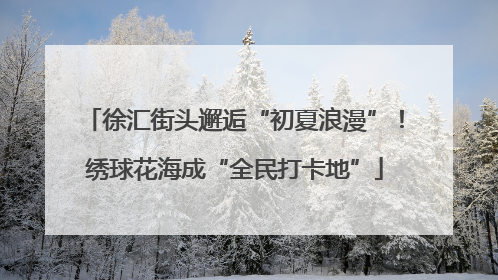 徐汇街头邂逅“初夏浪漫”！绣球花海成“全民打卡地”