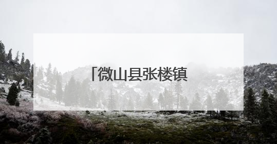 微山县张楼镇“如康家园”助力残疾人就业