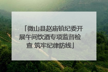 微山县赵庙镇纪委开展午间饮酒专项监督检查 筑牢纪律防线