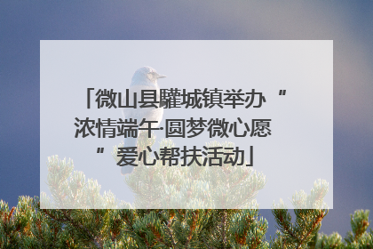 微山县驩城镇举办“浓情端午·圆梦微心愿”爱心帮扶活动