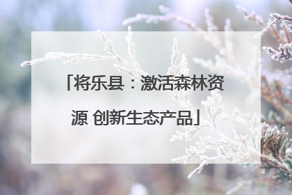 将乐县：激活森林资源 创新生态产品