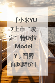 小米YU7上市“咬定”特斯拉Model Y，智界闻风降价