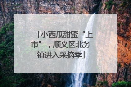 小西瓜甜蜜“上市”，顺义区北务镇进入采摘季