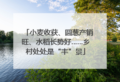 小麦收获、圆葱产销旺、水稻长势好……乡村处处是“丰”景