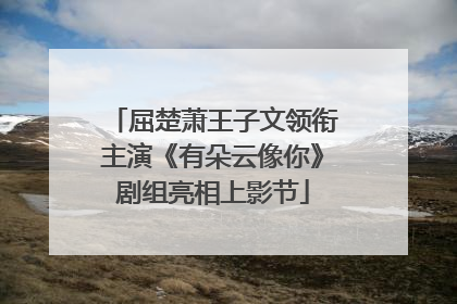 屈楚萧王子文领衔主演《有朵云像你》剧组亮相上影节