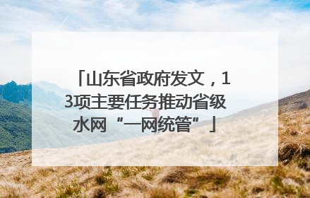 山东省政府发文，13项主要任务推动省级水网“一网统管”
