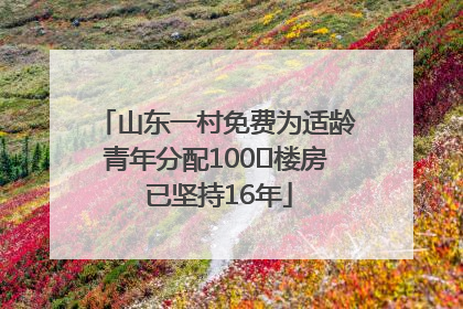 山东一村免费为适龄青年分配100㎡楼房 已坚持16年
