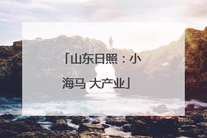 山东日照：小海马 大产业