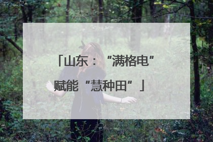 山东：“满格电”赋能“慧种田”