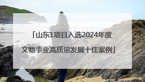 山东1项目入选2024年度文物事业高质量发展十佳案例