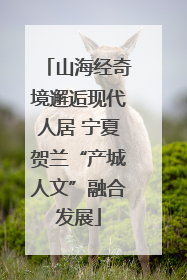 山海经奇境邂逅现代人居 宁夏贺兰“产城人文”融合发展