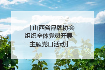 山西省品牌协会组织全体党员开展主题党日活动