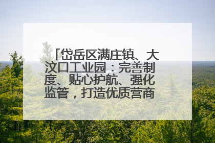 岱岳区满庄镇、大汶口工业园：完善制度、贴心护航、强化监管，打造优质营商“强磁场”