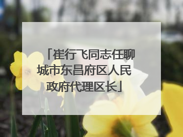 崔行飞同志任聊城市东昌府区人民政府代理区长