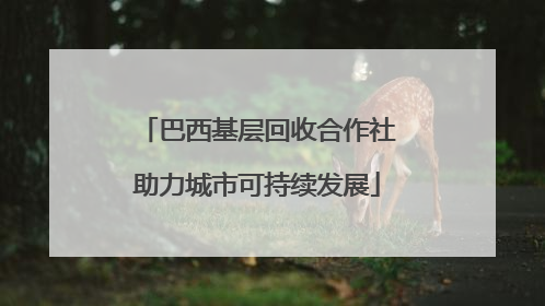 巴西基层回收合作社助力城市可持续发展