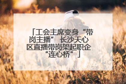 工会主席变身“带岗主播” 长沙天心区直播带岗架起职企“连心桥”