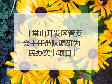 常山开发区管委会主任带队调研为民办实事项目