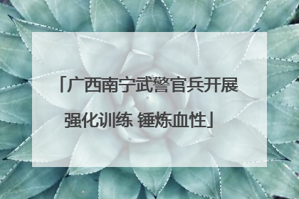 广西南宁武警官兵开展强化训练 锤炼血性