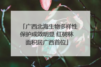 广西北海生物多样性保护成效明显 红树林面积居广西首位