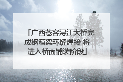 广西苍容浔江大桥完成钢箱梁环缝焊接 将进入桥面铺装阶段