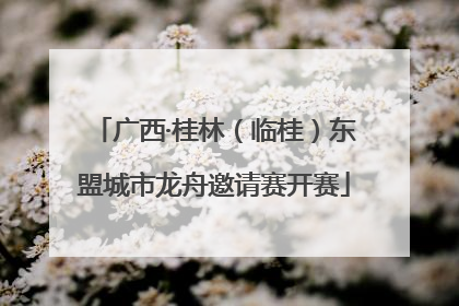 广西·桂林（临桂）东盟城市龙舟邀请赛开赛