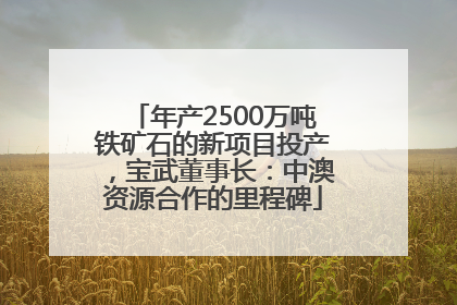 年产2500万吨铁矿石的新项目投产，宝武董事长：中澳资源合作的里程碑
