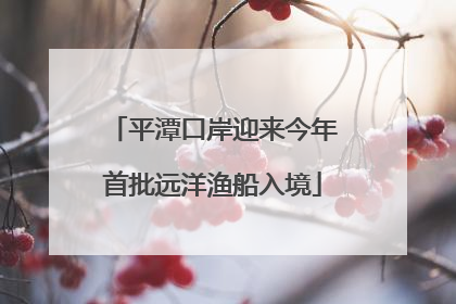 平潭口岸迎来今年首批远洋渔船入境