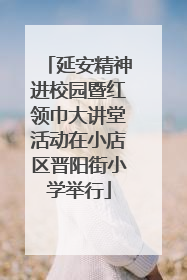 延安精神进校园暨红领巾大讲堂活动在小店区晋阳街小学举行