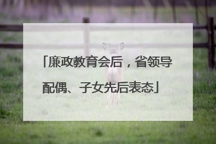 廉政教育会后，省领导配偶、子女先后表态