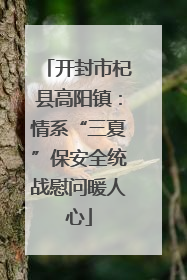 开封市杞县高阳镇：情系“三夏”保安全统战慰问暖人心