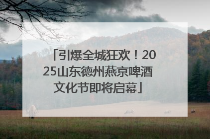引爆全城狂欢！2025山东德州燕京啤酒文化节即将启幕