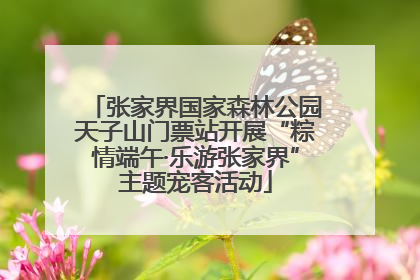 张家界国家森林公园天子山门票站开展“粽情端午·乐游张家界”主题宠客活动